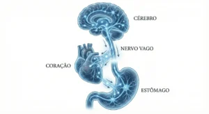 Ilustração do sistema nervoso conectando o cérebro aos órgãos vitais.